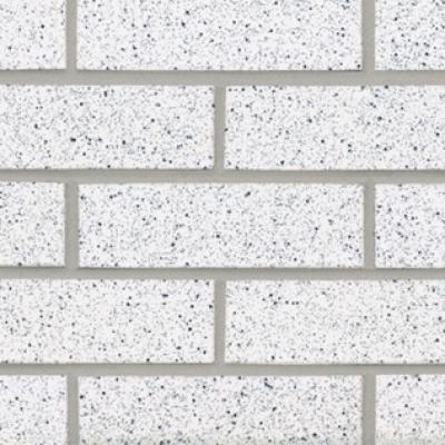 White With Speck Glazed Thin Brick